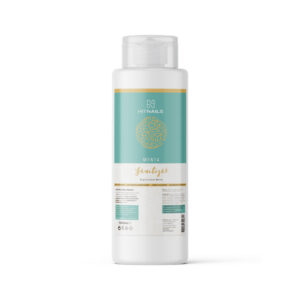 Sanitizer Menta 1000ml